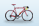 Cycling holidays 