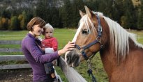 Horse Riding Hotels