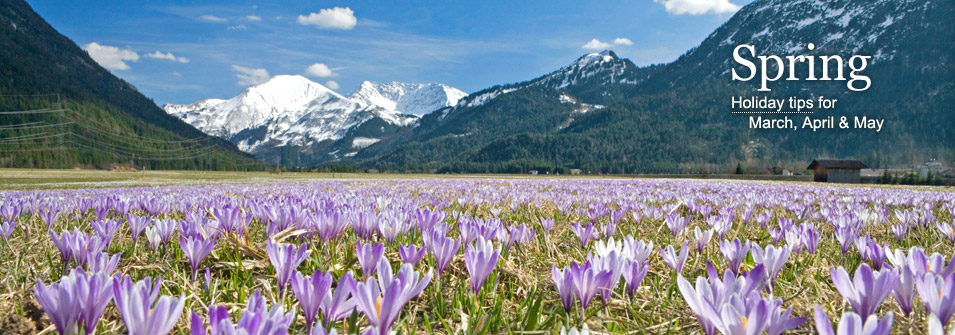 Spring