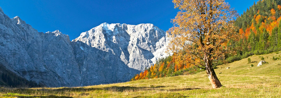 Autumn Autumn