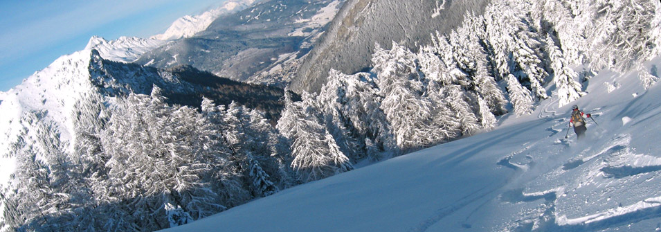 Winter Winter