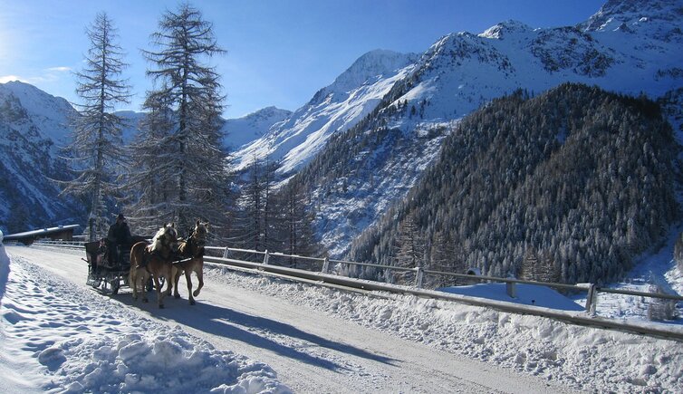 Singles hall in tirol
